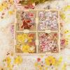 Misaki Planner Cute and Animal Washi Notebook 100 DIY Stickers for and Household Accounting PET 100 Sheets Stickers, Princess, Girl, Flower, Star,