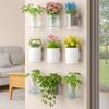 Self-Adhesive Wall Mounted Planter Double Layer Hanging Flower Pot Hydroponic Wall Planter  Office