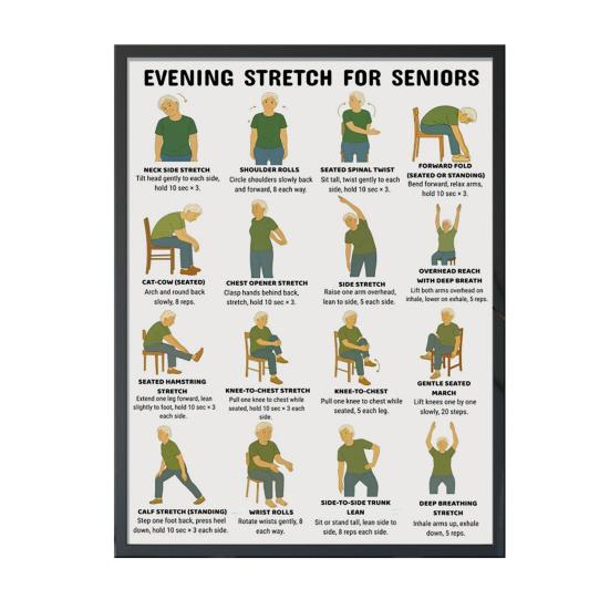 Chair Exercise Poster Seated Workout Chart Gentle Chair Yoga Movements Low Impact Exercise Guide for Seniors Beginners