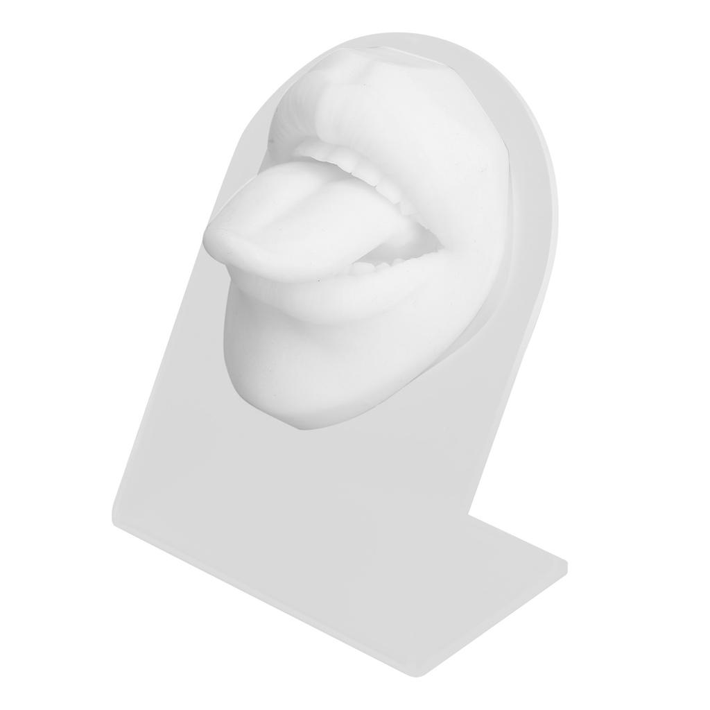 Silicone Tongue Mouth Model With Display Stand Simulated 3D Tongue Piercing Body Practice Model