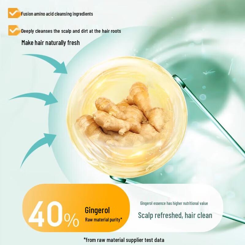 Aoxue Ginger Anti-Dandruff & Oil Control Shampoo