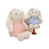 New Princess Long-Eared Rabbit Princess Cute Princess Style Plush Toy Rabbit Catching Machine Doll Girl Gift