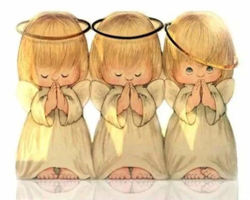 

Алмазная картина, цветы, эльфы и ангелы, полная квадратная круглая вышивка крестиком, Новое поступление, Алмазная вышивка, мозаика с животными, домашний декор, подарок Full Round 20X30CM белый