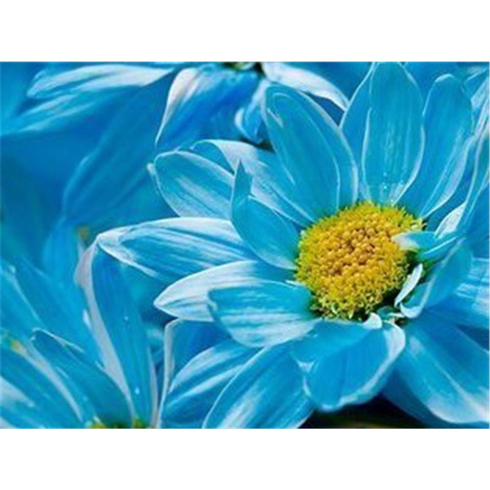 5D DIY Diamond Painting Flower Cross Stitch Kit Diamond Embroidery Rhinestone Picture Mosaic Home Decoration Hand-Mosaic Gift