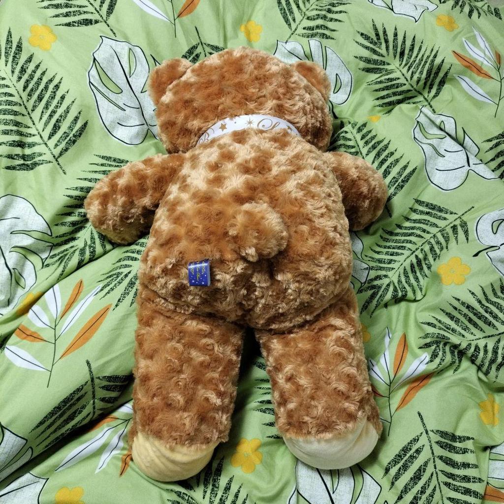 [USED] Teddy Bear About 60cm