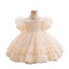 2025 New High-End Princess Dress for Girls - Formal Wear & Performance Clothing
