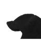 CPGN STUDIO Logo Trooper Fleece Earflap Black