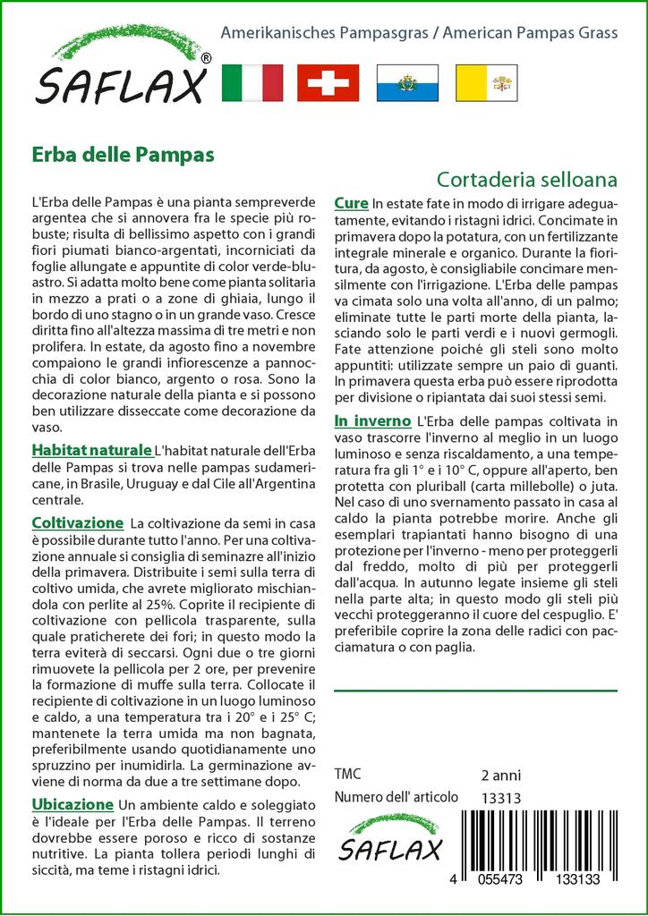 SAFLAX Erba della Pampa Americana - 200 semi - Cortaderia selloana