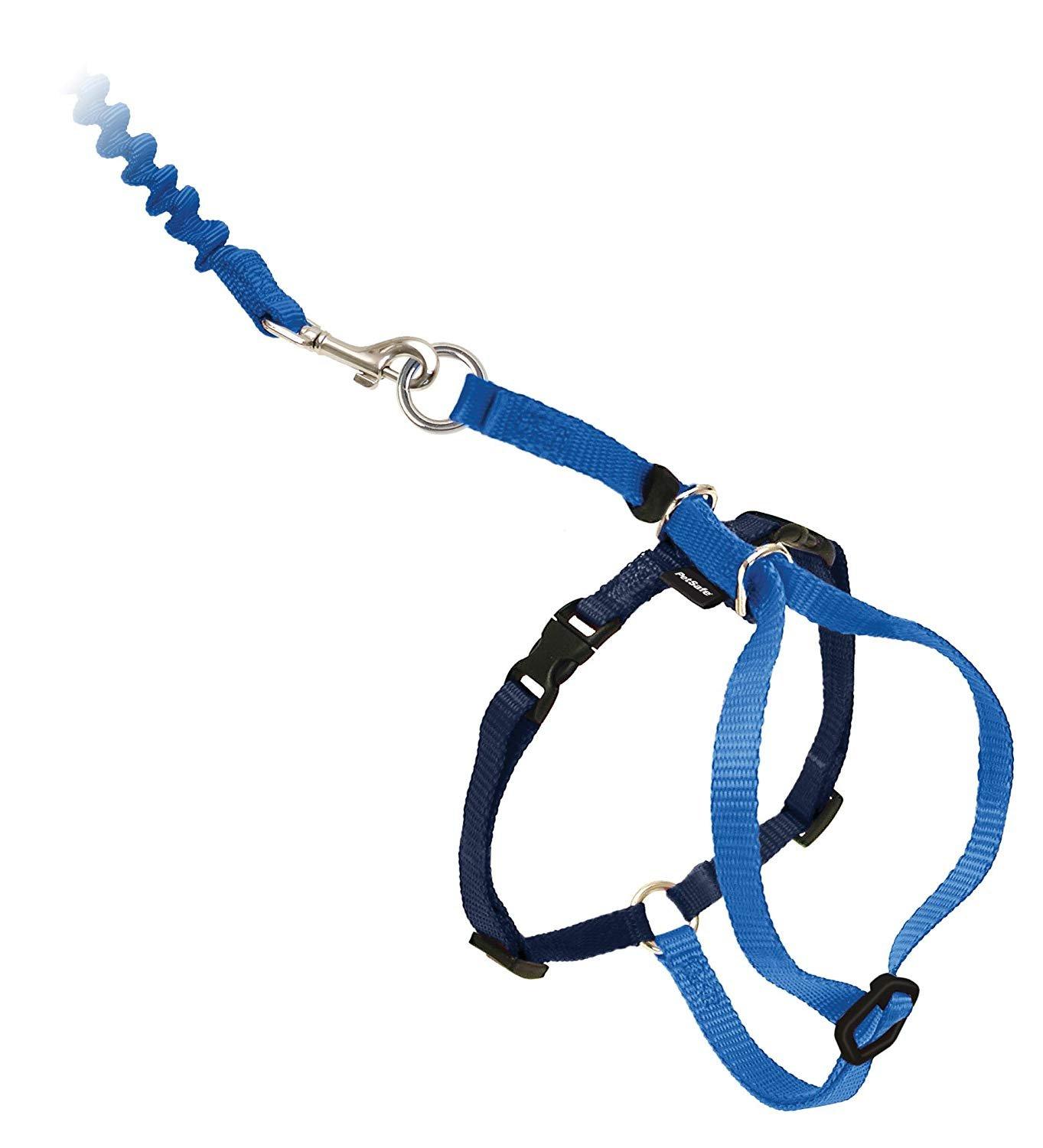 

PetSafe Cat Harness Easy Walk Cat Harness Bungee Lead Royal Blue Large Size &