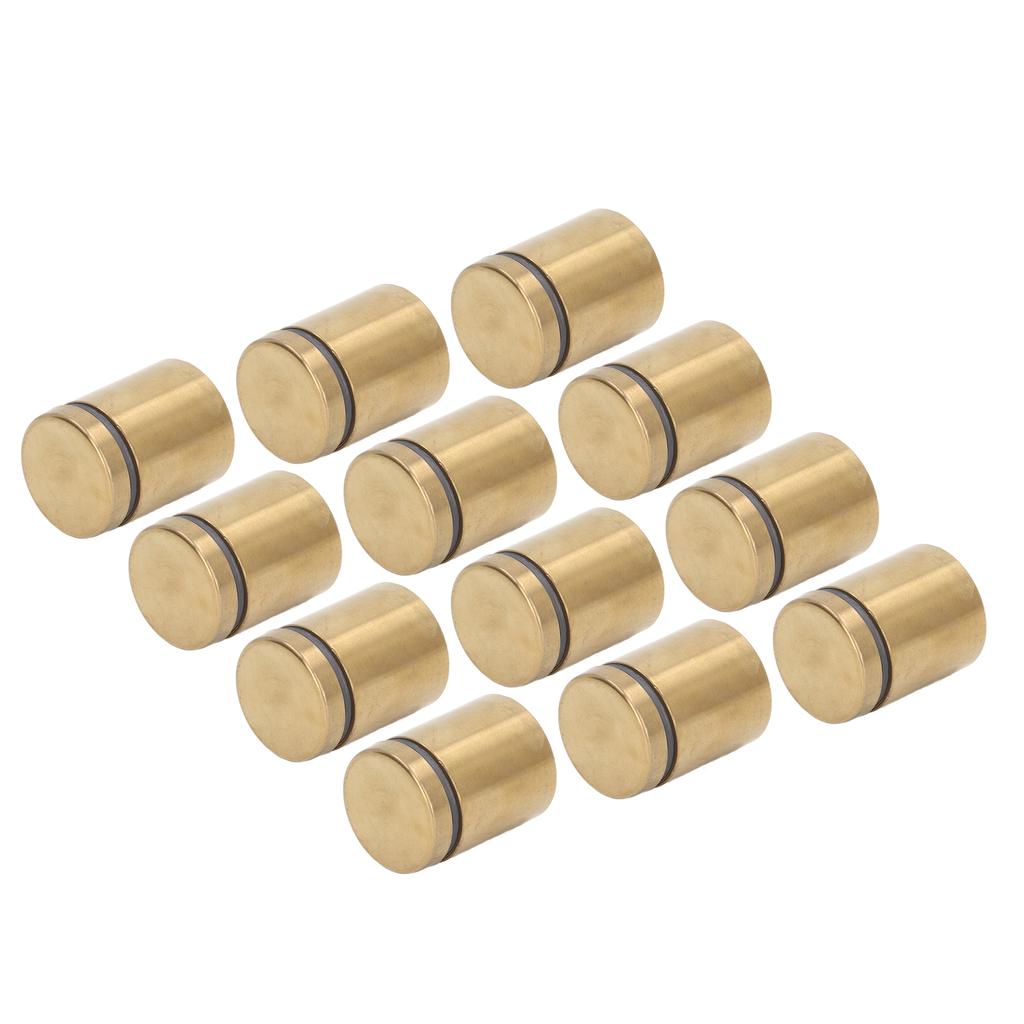 12Pcs Standoff Screws Stainless Steel Wall Mount Advertising Holder Nail Fixing Pin 25x30mm