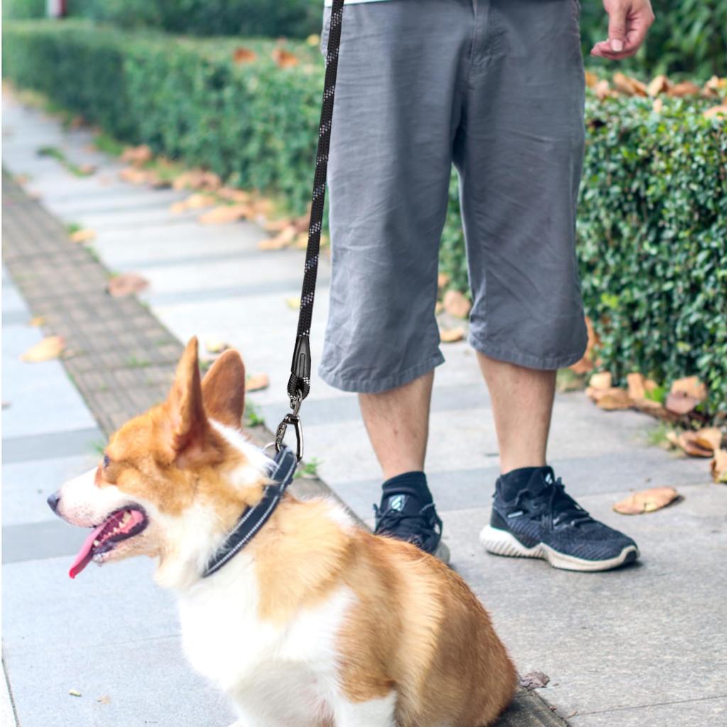Dog Leash 1cm Long Lightweight Nylon with Reflective Suitable for Large Outdoor Walks and 4.65m, Diameter, Leash, Features, Dogs, Training, Playtime.