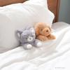Livheart Mini Cushion "Kutattobiyori" Toy Poodle (approx. 30cm long) Fluffy Armrest Plush Toy 27108-31