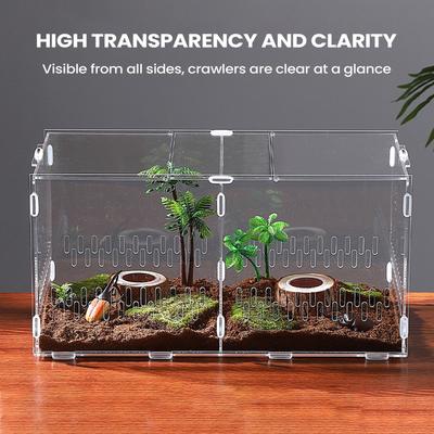 Reptiles – Terrarium pour reptiles