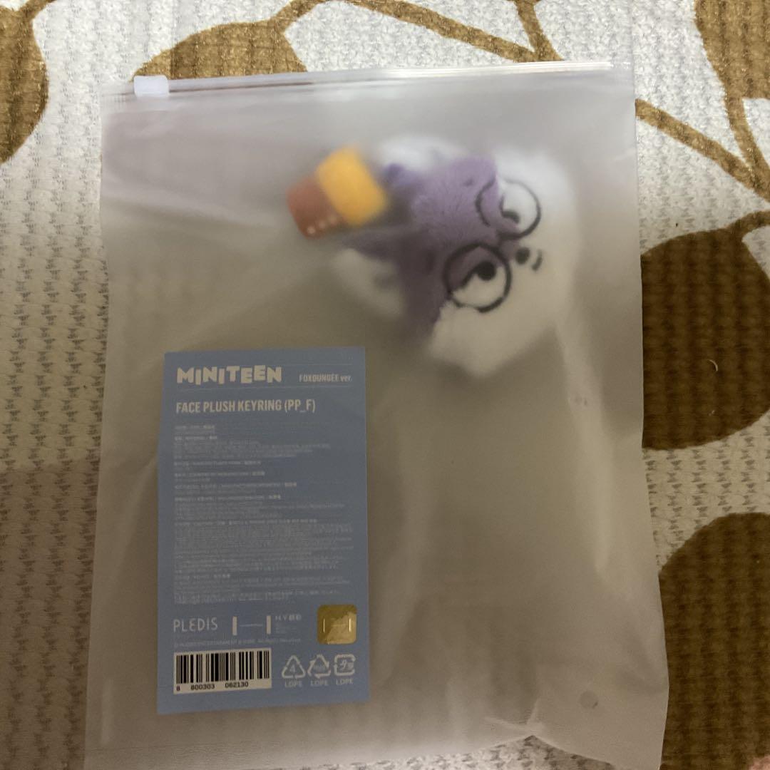 

[USED] MINITEEN Seventeen Wonwoo Keyring