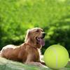 24CM Giant Tennis Ball For Pet ChewToy Big Inflatable Supplies Outdoor Toys