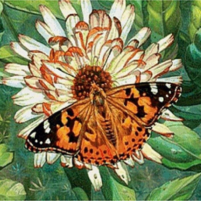 New Arrivals Diamond Painting Full Round Butterfly Cross Stitch Diamond Embroidery Animals Wall Decor Hobby Gift