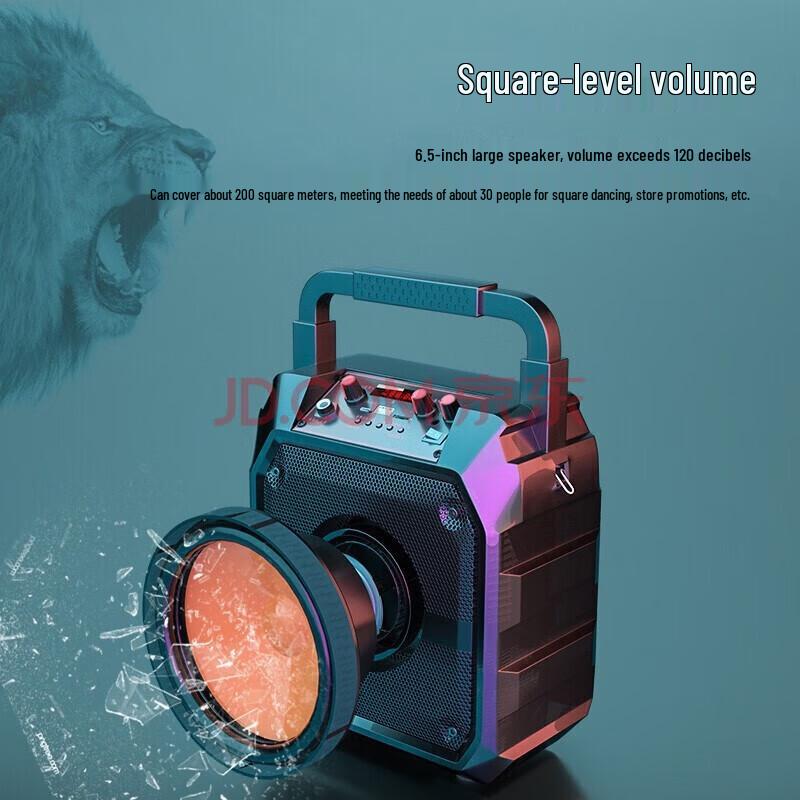 Newman K97 Portable Bluetooth Speaker with Radio & Karaoke CN plug (adapter included)