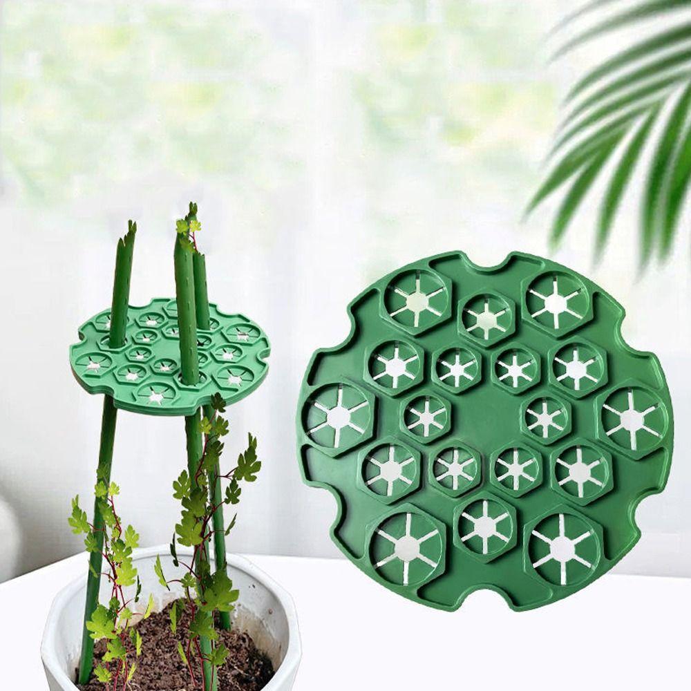 

2/3/5Pcs Support Branches Garden Plants Holder No Stake Trellis Bamboo Cane Holder Green-5pcs