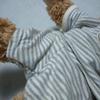 [USED] Steiff Teddy Bear