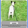 Small Dog Outdoor No-Pull Training Leash & Rope