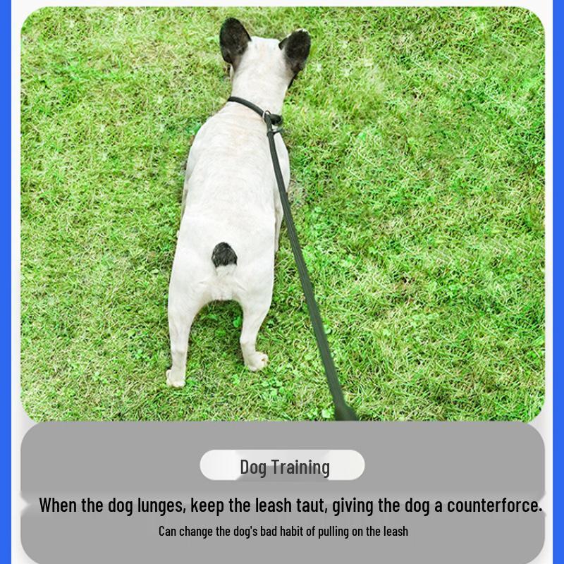 Small Dog Outdoor No-Pull Training Leash & Rope