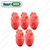 1-5PCS Halloween Horror Simulation Human Limbs Props Fake Hands Feet Brain Heart Haunted House Party Decoration Accessories