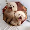 Two Bichon Pattern, Automatic Folding Umbrella, Portable and Foldable Design, 8 Ribs, a Christmas or Birthday Gift.