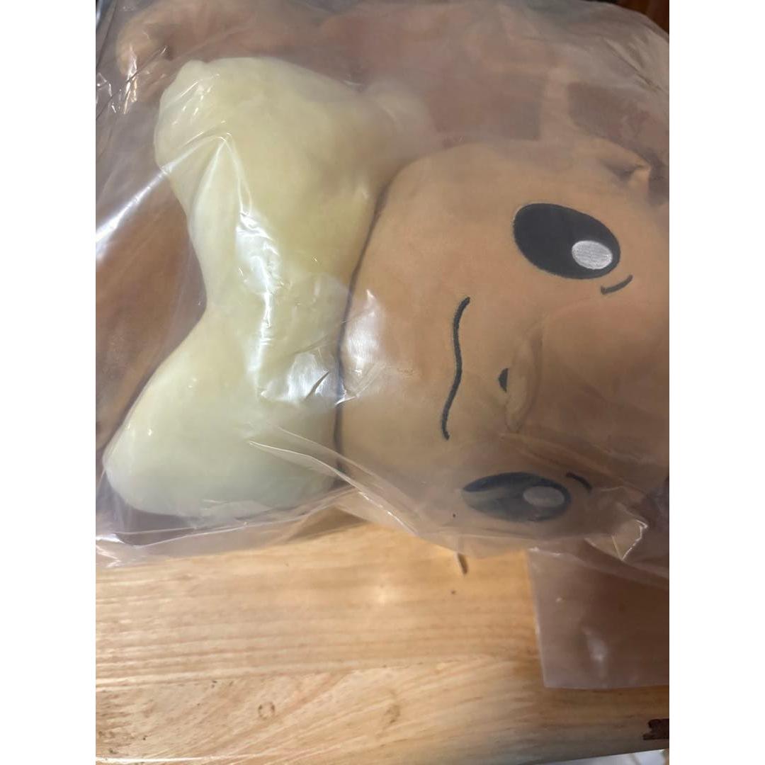 (Unopened) Pokemon Ichiban Kuji Eevee Pikachu Plush Toy