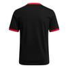 Deftones Unisex Adult Star & Pony Ringer T-Shirt