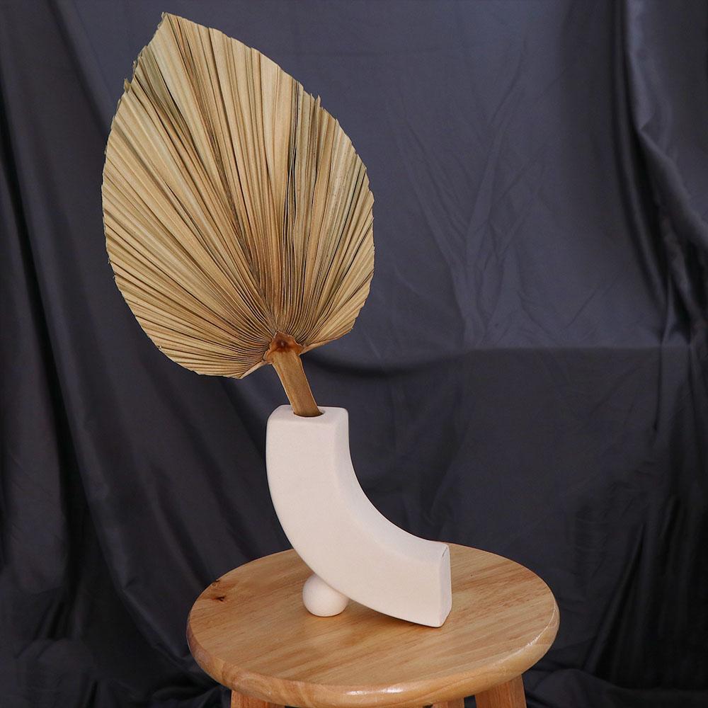 Wedding Decor Office Tropical Natural Trimmed Bohemian Leaves Dried Plant Fan Leaf Palm Spears