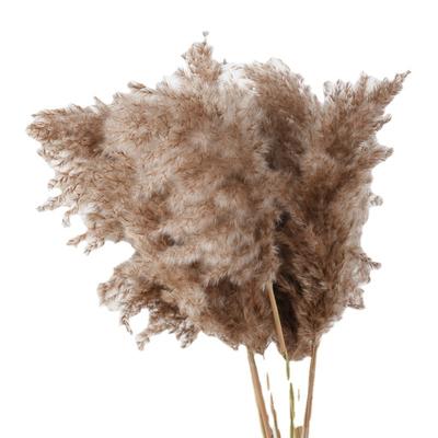 Woondecoratie – Decoratieve bloemen en kransen
