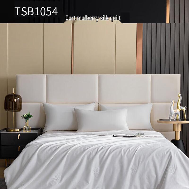 Hengyuanxiang TSB1054 Tussah Silk Quilt