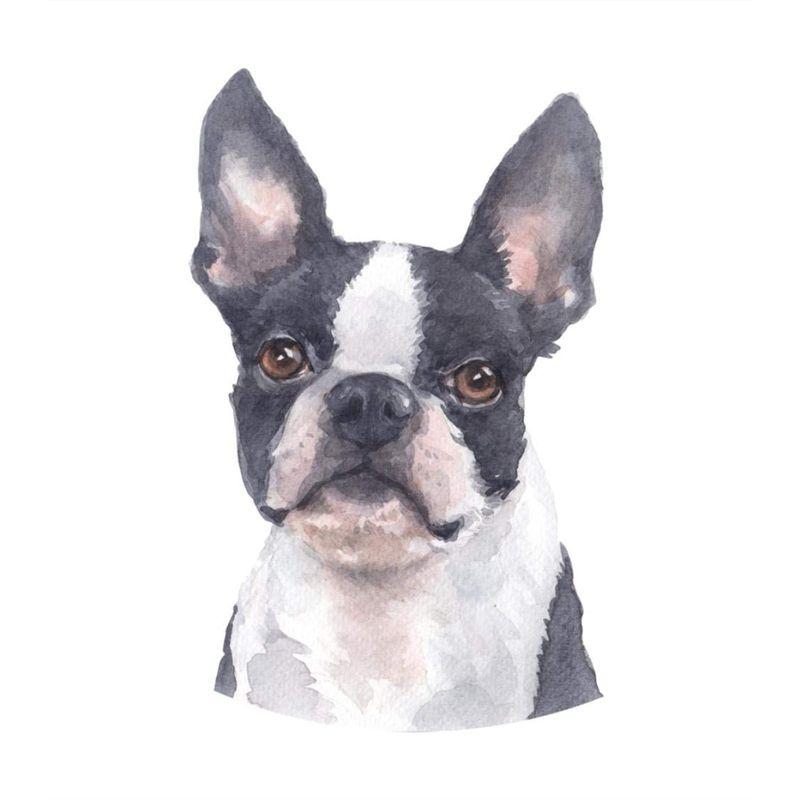 5D DIY Diamant Malerei Hund voller Runde Diamant Stickerei Tier Mosaik Strass Kit Dekor für Zuhause