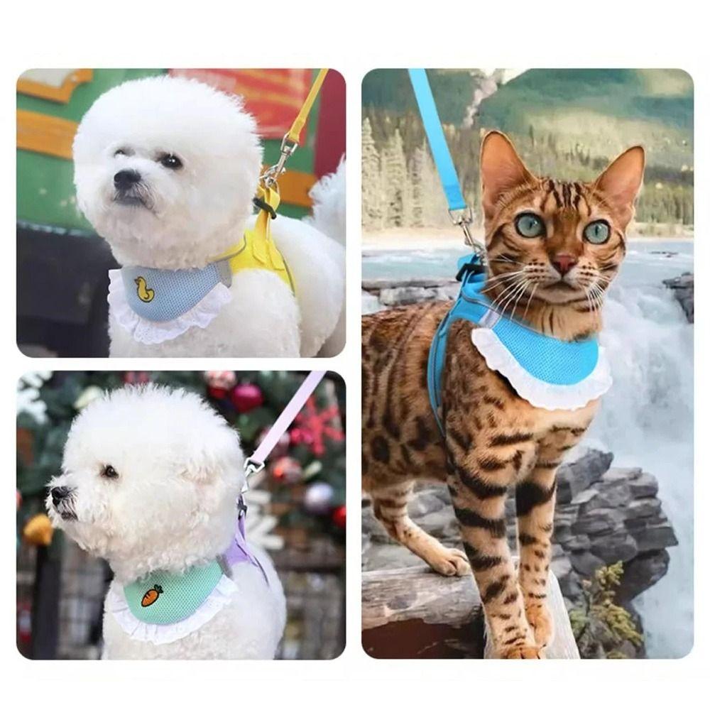 Drool Bib Design Dogs Collar Vest Breathable Pet Harness Leash Mesh Chest Strap Set Decoration