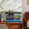 Aquarium Starter Kit LED Fish Tank Kit With Decoration Accessories Dust-proof Underwater Landscape Decoration for Desktop Living