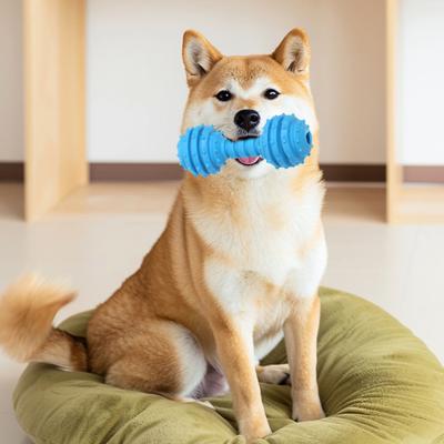 Dog Chew Toy Spiky Barbell Dog Toy with Built-in Bell To Relieve Boredom Interactive Teeth Cleaning Toy for Aggressive Chewers