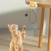 Bouncing Toy Cats and Felines Fun Exercise and Entertainment Cats Toy