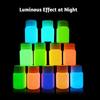 20g Paint Fluorescent Non-radioactive 12 Colors Multipurpose Luminous Paint for Ceramic