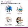 Flamingo Mini Cycle Exercise Bike Hands & Foot Workout at home Paralysis Cycle Pedal Exerciser - (Universal)