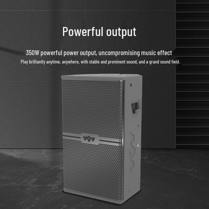 797audio HY15 Conference and Stage Speaker CN Plug (adapter Included)