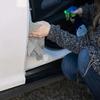 Microfiber Towels Car Wash Drying Polishing Cloth Household Cleaning Kit Detailing Streak Free Lintless Home Cleaning