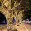 Andeli Outdoor Waterproof LED Decorative String Lights