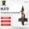 H173 Anatomical Bomb Training Model