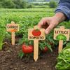 15PCS Reusable Plant Markers T-Type Vegetable Name Tag Insert Type Plant Sign  Garden Use