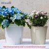 Aimei Root-Control Breathable Plastic Flower Pot