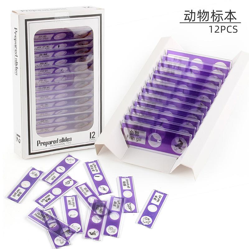 Children'S Microscope Animal Plant Insect Fruit And Vegetable 12Pcs Biological Specimen Set Scientific Experiment Toy Accessories