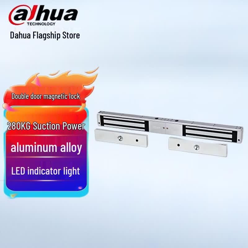 Dahua Access Control System Kit CN plug (adapter included)