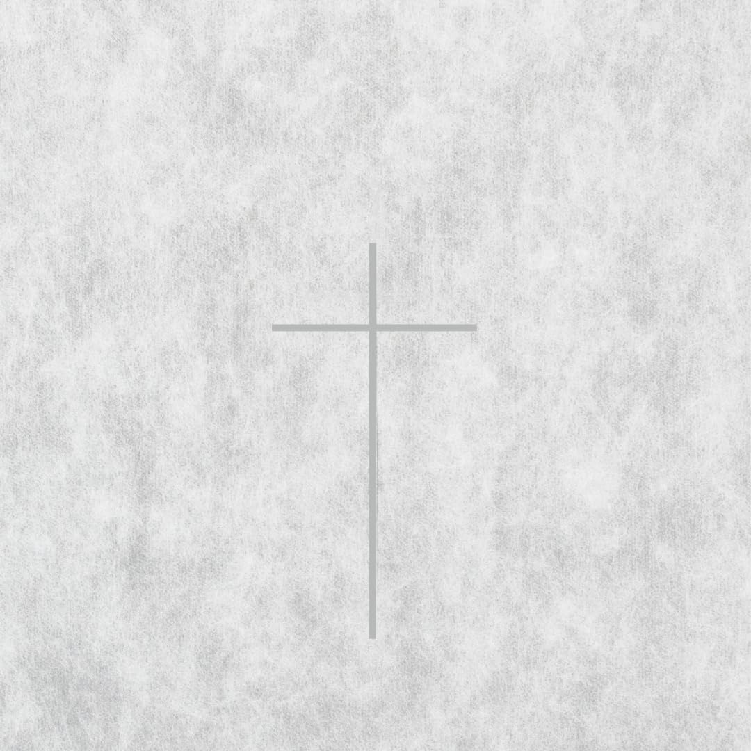 

Face Paper x White Soft and Gentle on the for Professional Esthetic [Atrastore] Cross-Cut (33 33cm) 500-Pack, Pillow Sheet, Skin, Cross-Cut, білий