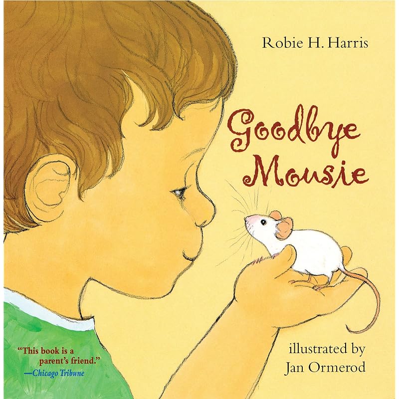 Goodbye Mousie One Morning A Boy Finds That His Pet,