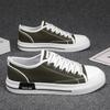 Canvas shoes men's 2025 new spring non-slip casual sports niche design youth soft-soled low-top board shoes